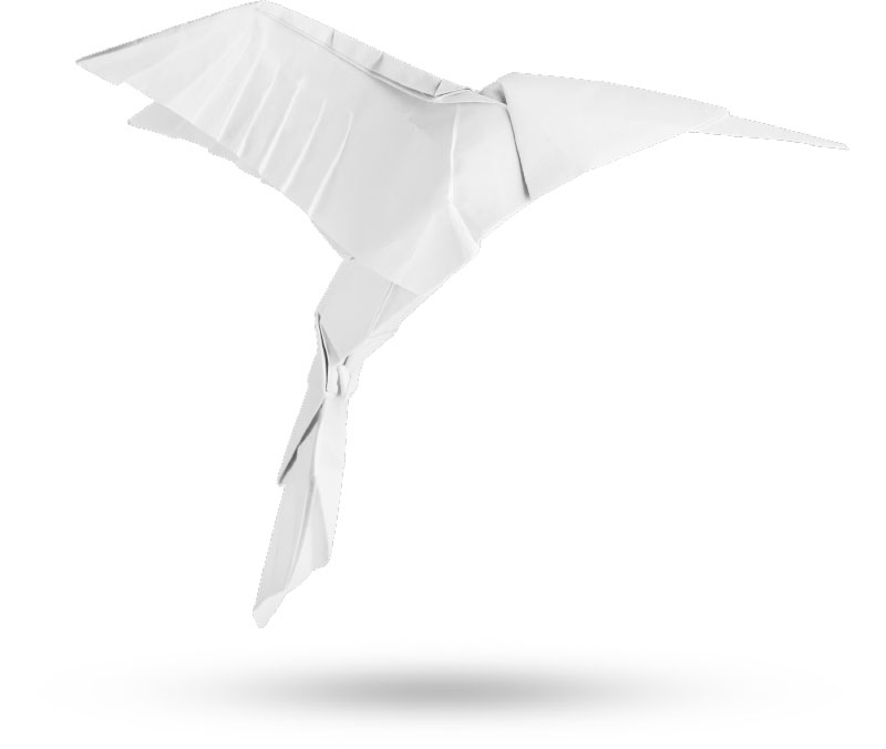 Origami-Kolibri | Praxis für Gastroenterologie und Kardiologie Dr. Rösler und Dr. Lachmann in Bayreuth